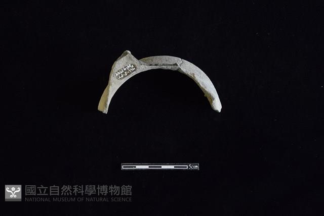 陶罐藏品圖，第2張