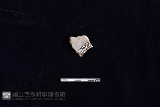 陶片藏品圖，第2張