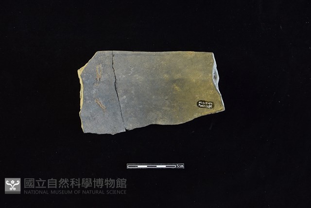陶罐藏品圖，第2張