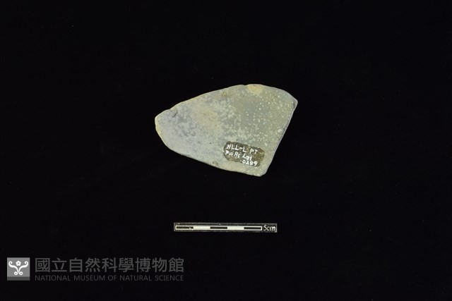 陶片藏品圖，第2張