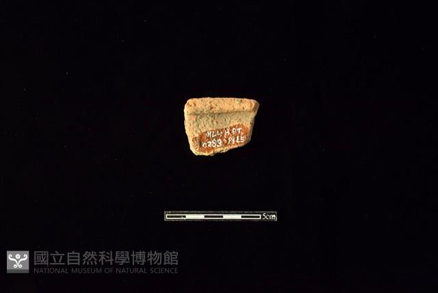 陶罐藏品圖，第2張