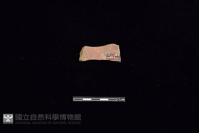 陶片藏品圖，第2張