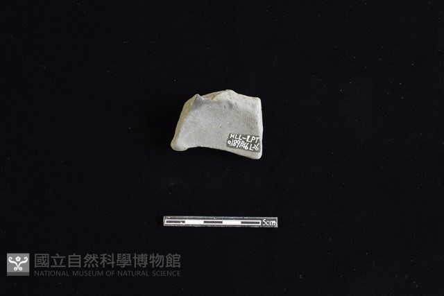 陶片藏品圖，第2張