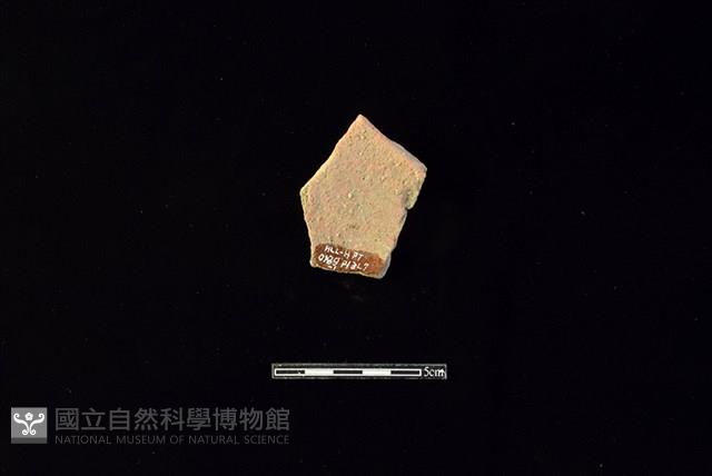 陶片藏品圖，第2張