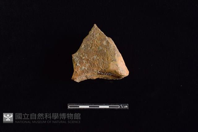 連杯形器藏品圖，第2張