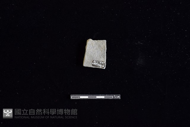 陶片藏品圖，第2張
