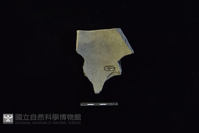 陶缽藏品圖，第2張