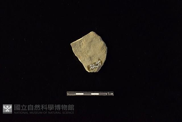 陶片藏品圖，第2張