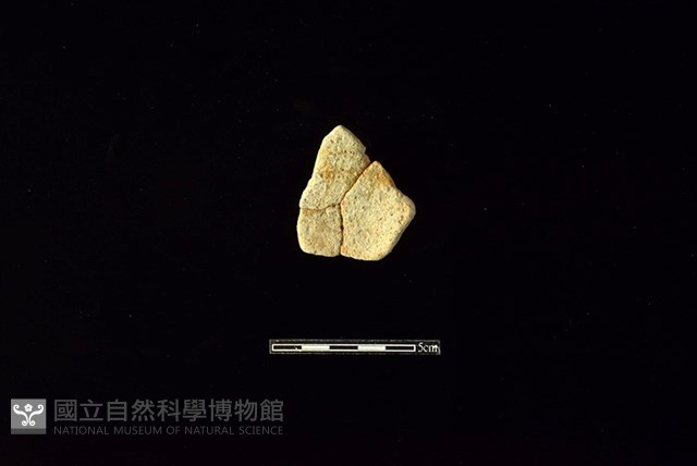 陶片藏品圖，第2張