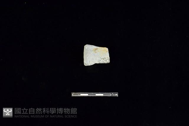 陶片藏品圖，第2張