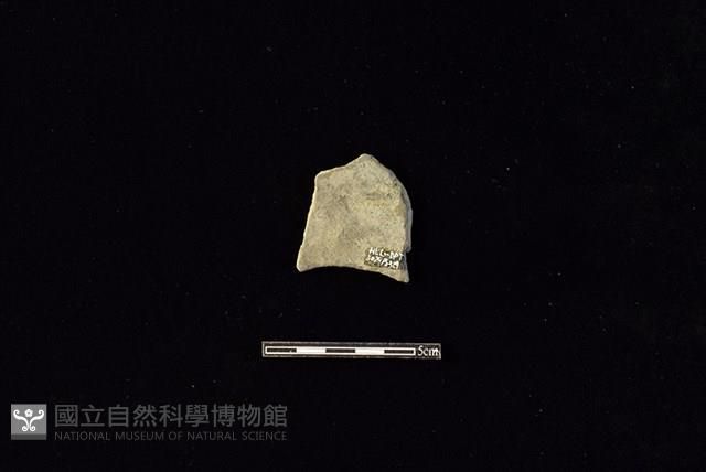 陶片藏品圖，第2張