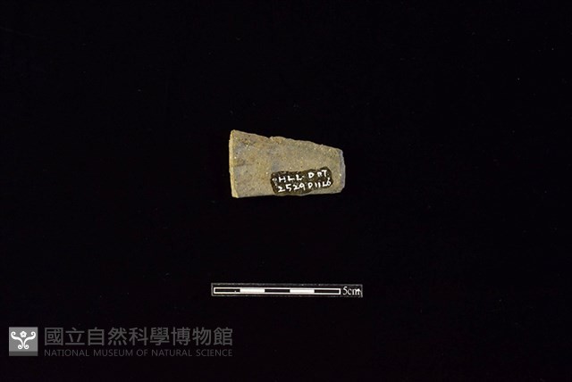 陶片藏品圖，第2張