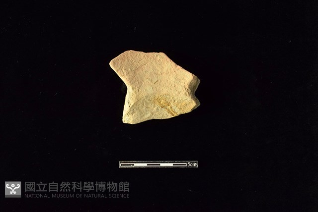 陶罐藏品圖，第2張