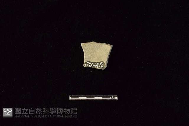 陶片藏品圖，第2張