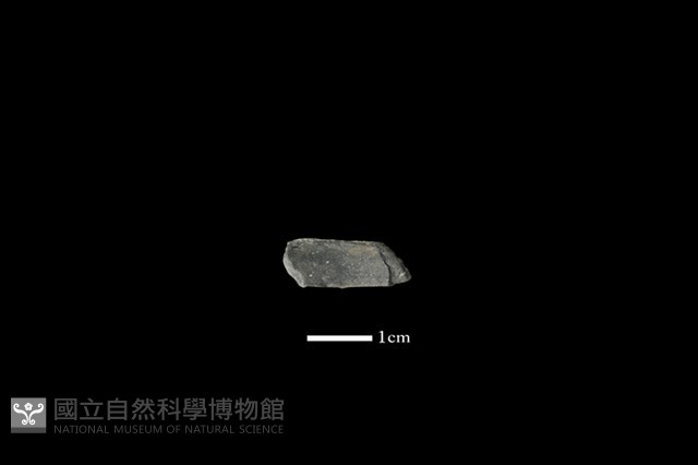 陶環藏品圖，第2張