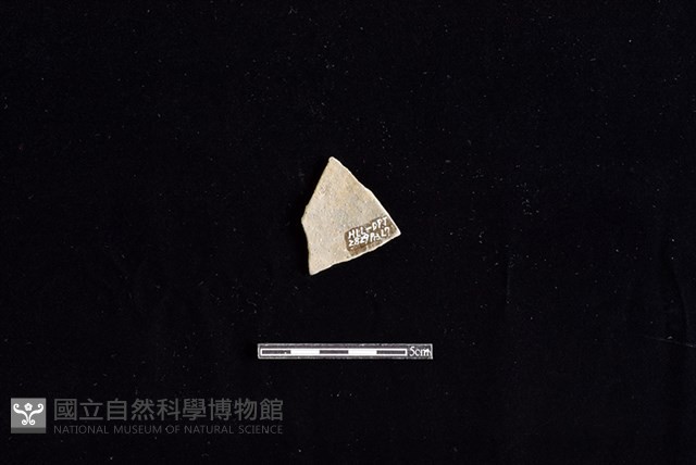陶片藏品圖，第2張
