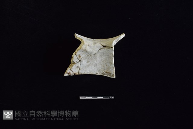 陶罐藏品圖，第2張