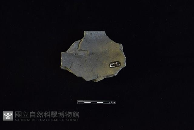 陶罐藏品圖，第2張