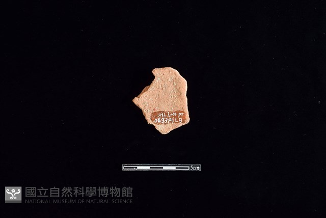 陶片藏品圖，第2張