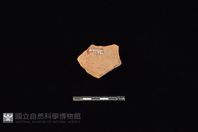 連杯形器藏品圖，第2張