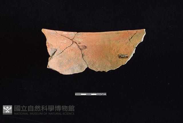 陶罐藏品圖，第2張