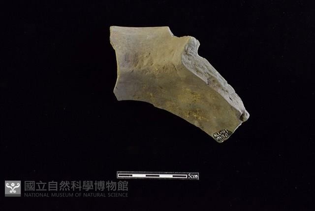 陶罐藏品圖，第2張