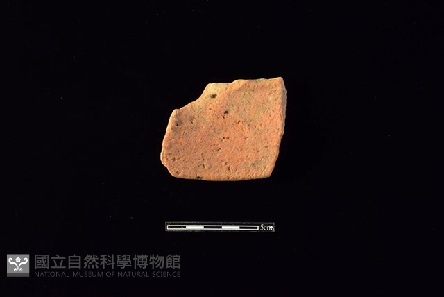 陶片藏品圖，第2張