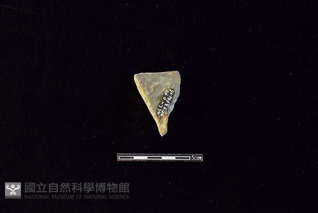 陶片藏品圖，第2張