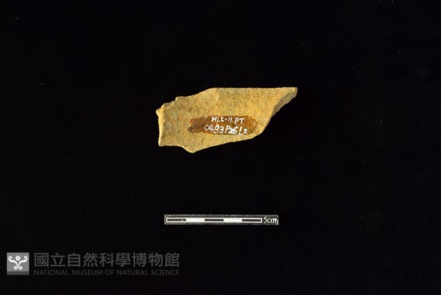 陶罐藏品圖，第1張