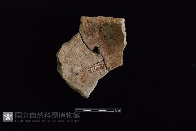 陶缽藏品圖，第2張