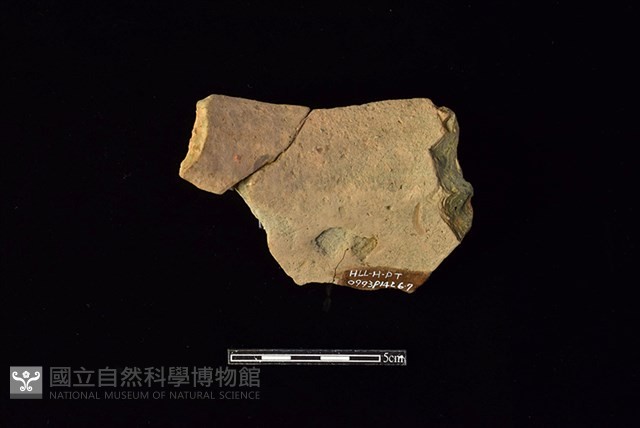 陶罐藏品圖，第2張