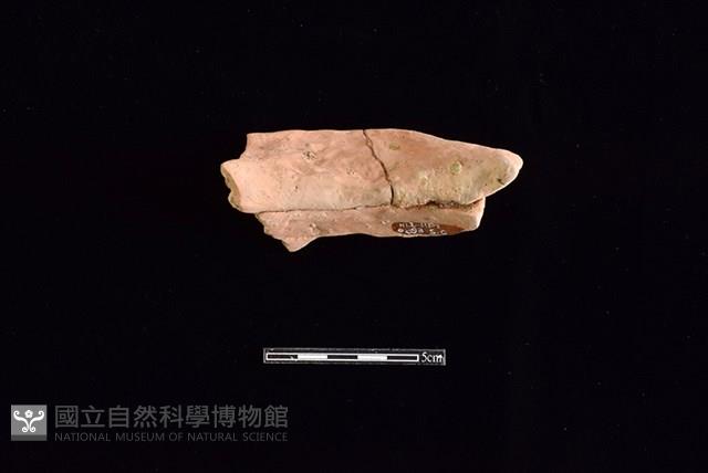 陶罐藏品圖，第2張