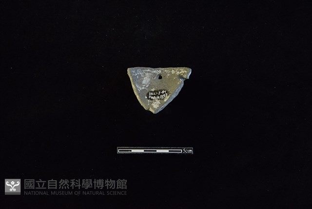 陶片藏品圖，第2張
