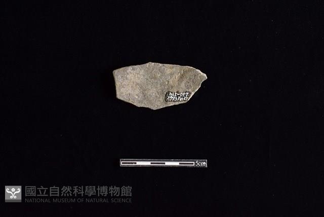 陶片藏品圖，第2張