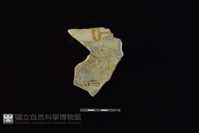 陶罐藏品圖，第2張