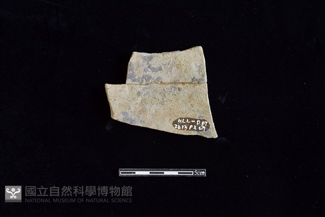 陶片藏品圖，第2張