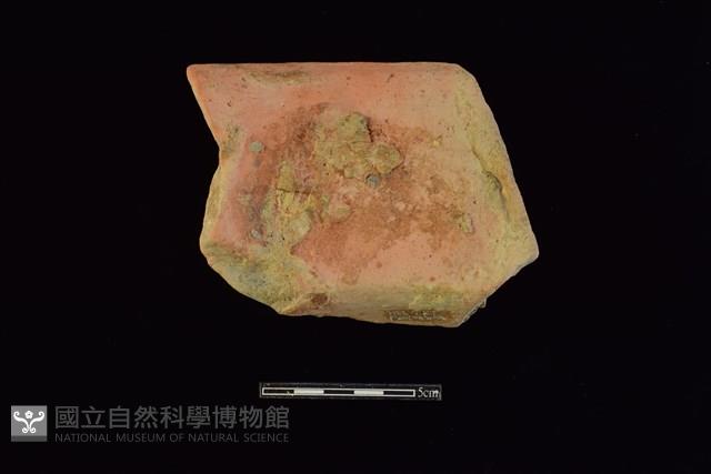 陶罐藏品圖，第2張