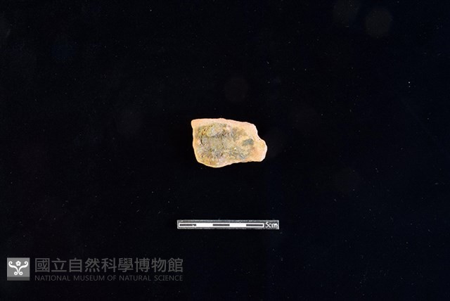 陶片藏品圖，第2張