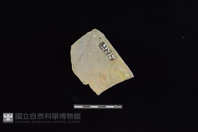 陶片藏品圖，第1張