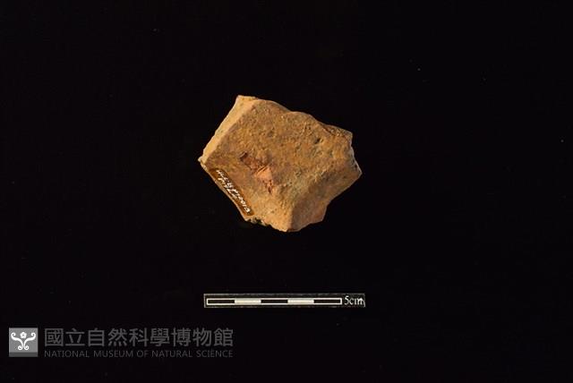 連杯形器藏品圖，第2張