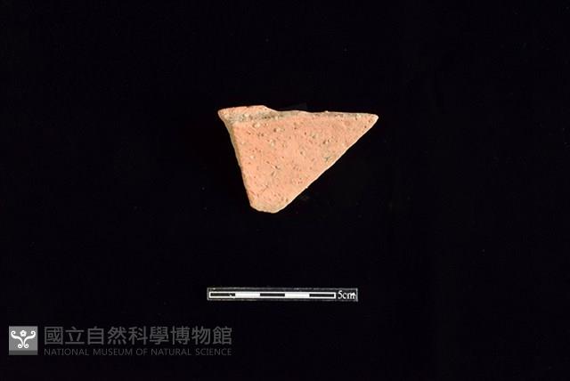 陶片藏品圖，第2張