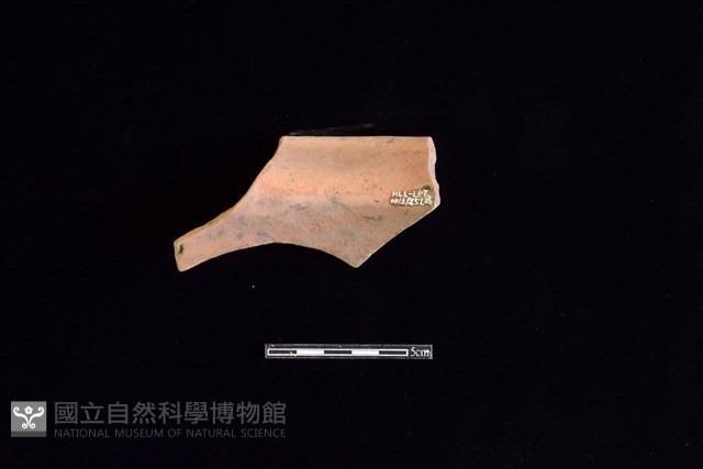 陶罐藏品圖，第2張