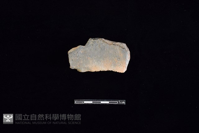 連杯形器藏品圖，第2張