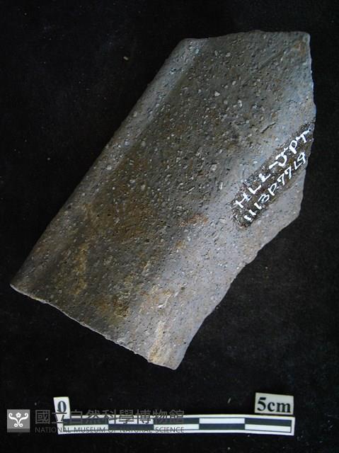 陶片藏品圖，第2張