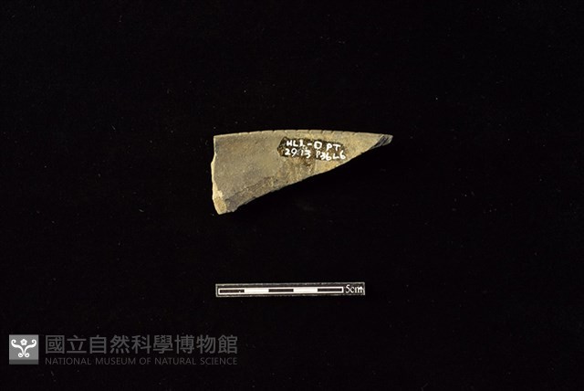 陶罐藏品圖，第2張