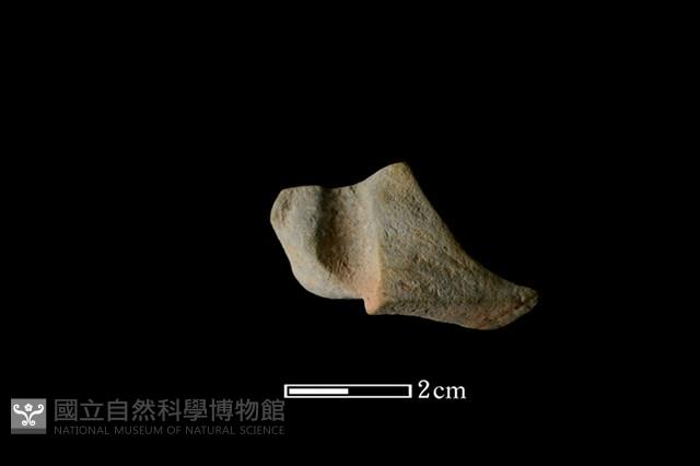 陶紡輪藏品圖，第2張