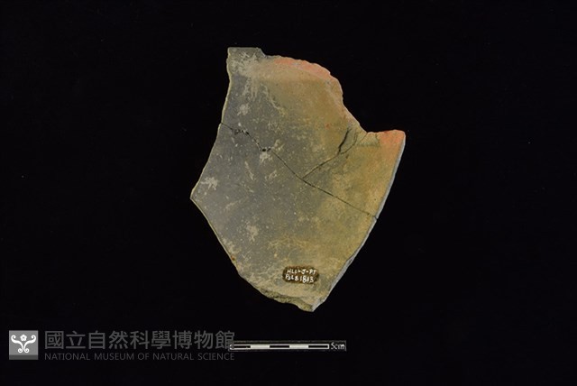 陶罐藏品圖，第2張