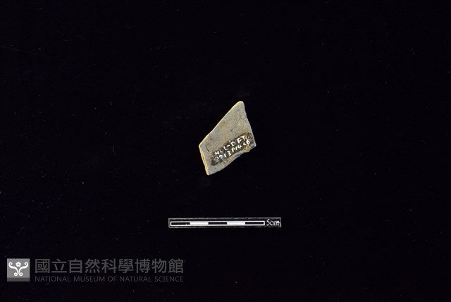 陶片藏品圖，第2張