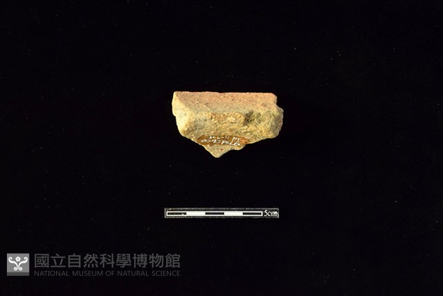 陶罐藏品圖，第2張