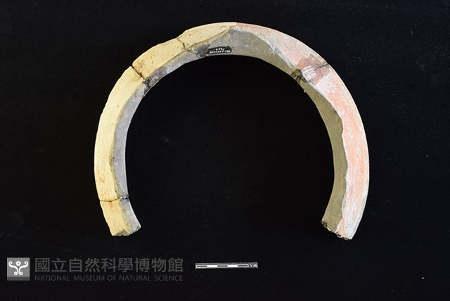 陶罐藏品圖，第2張